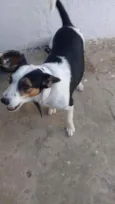 Lala