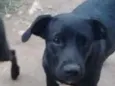 Não  tem nome