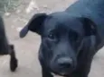 Não tem nome
