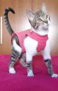 Matilda