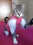 Matilda