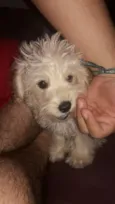Barry