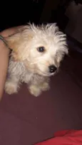 Barry