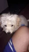 Barry