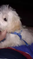 Barry