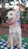 Nina