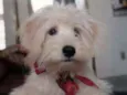 Barry