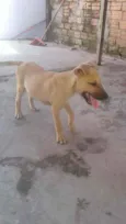 não tem