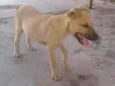 não tem