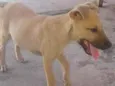 não tem