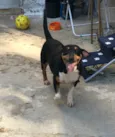 TICO