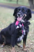 Lucy
