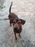 Floc