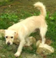 Billy