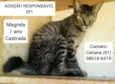 Preta