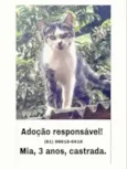 Preta