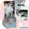 Nataly