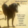 Marafa