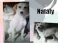 Nataly