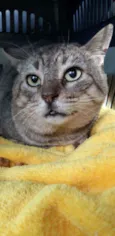 Tim