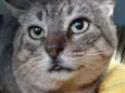 Tim