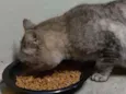 Tim