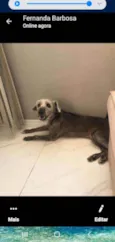 Flokinho