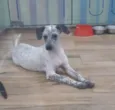 Lupita