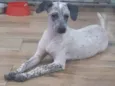 Lupita