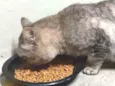 Tim