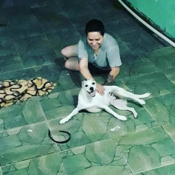 Cachorro ra a SRD idade 1 ano nome Frida