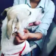 Frida