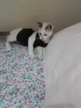 Rob