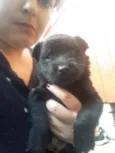 Abandonado 1 sem nom