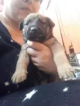 Abandonado sem nome