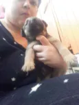 Abandonado sem nome