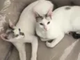 Valentina e Catarina