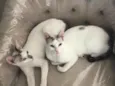 Valentina e Catarina