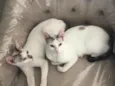 Valentina e Catarina