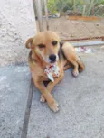 Athena