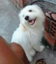 Mike