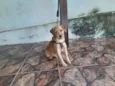 Jully 