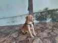 Jully 