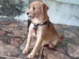 Jully 
