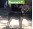 Rafa Nadal