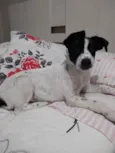 Não sei