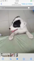 Não sei