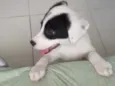 Não sei