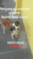 Quelii