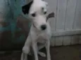 Vida